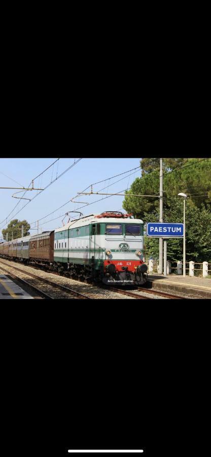 Donatella Guest house Paestum